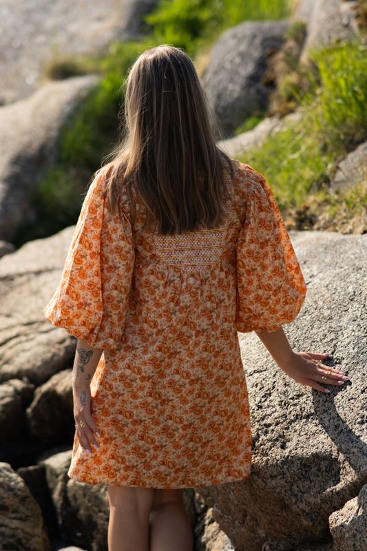 Elsa Dress Wallpaper 