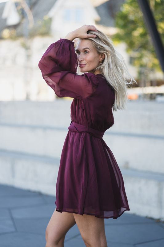 Organza Mini Dress Burgundy