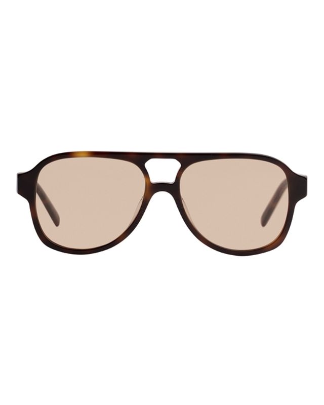 Gelo Cinnamon Tortoise 