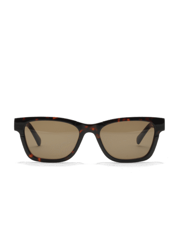 Verso Tortoise 