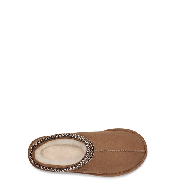 Hovedbilde W Tasman II Chestnut 