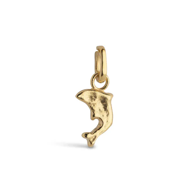 Hovedbilde Joyful Dolphin Charm Gold 