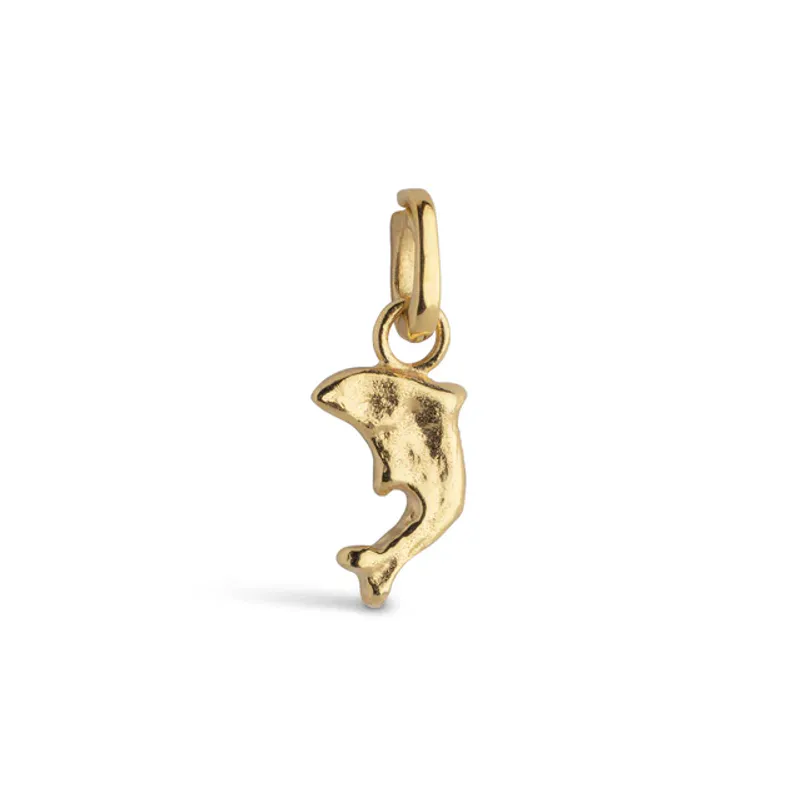 Joyful Dolphin Charm Gold 