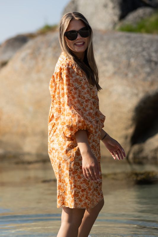 Elsa Dress Wallpaper 