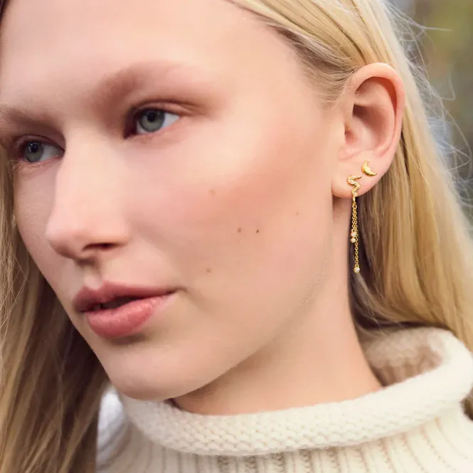 Hovedbilde Alina Earrings 