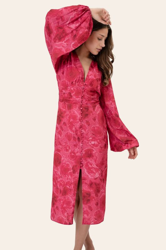 Adaic Long Dress Soft Rose Print