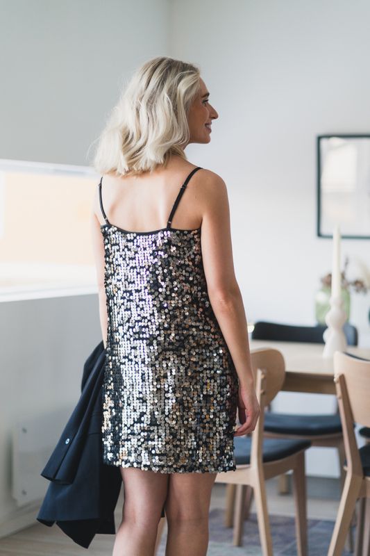 Quinn Mini Dress Silver