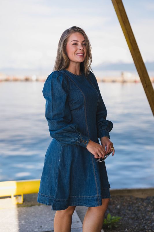 Denim Fitted Dress French Blue 