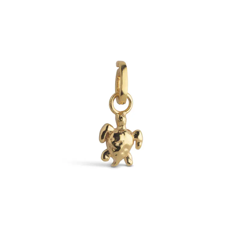 Calm Turtle Charm Gold 