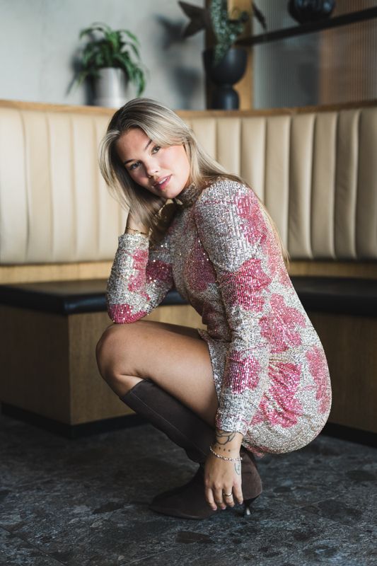 Sequins Rouching Dress Serenade 