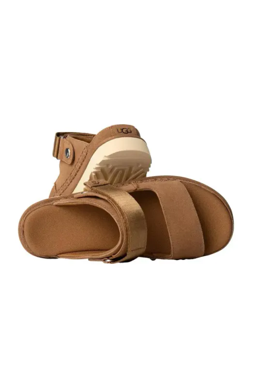 W Goldenstar Glide Chestnut 