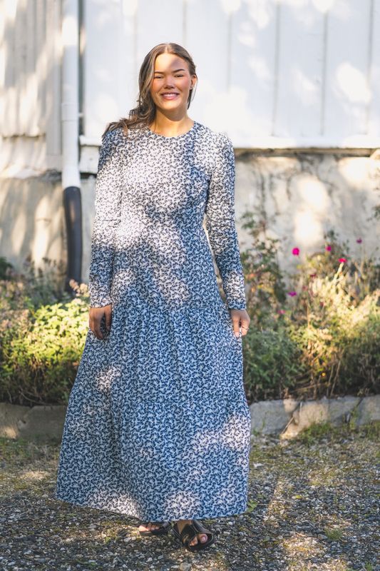 Dora Dress Navy Rosehip Print 