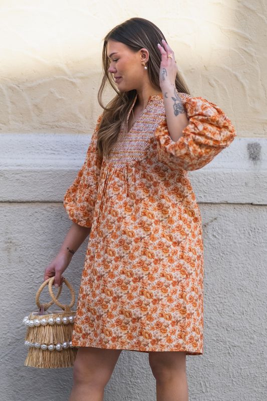 Elsa Dress Wallpaper 