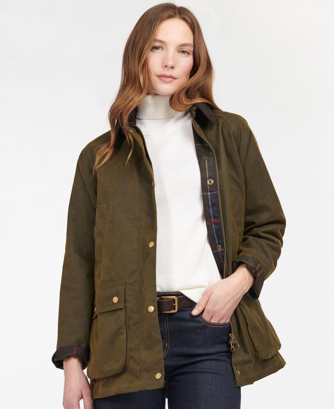 Acorn Wax Olive 