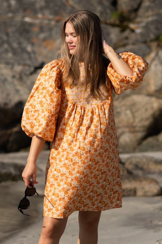 Elsa Dress Wallpaper 