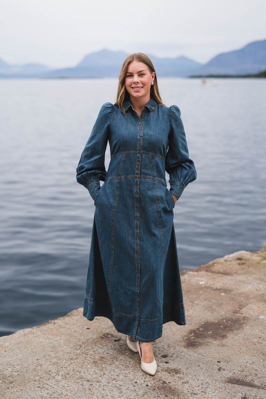 Denim Button-Down Dress French Blue 