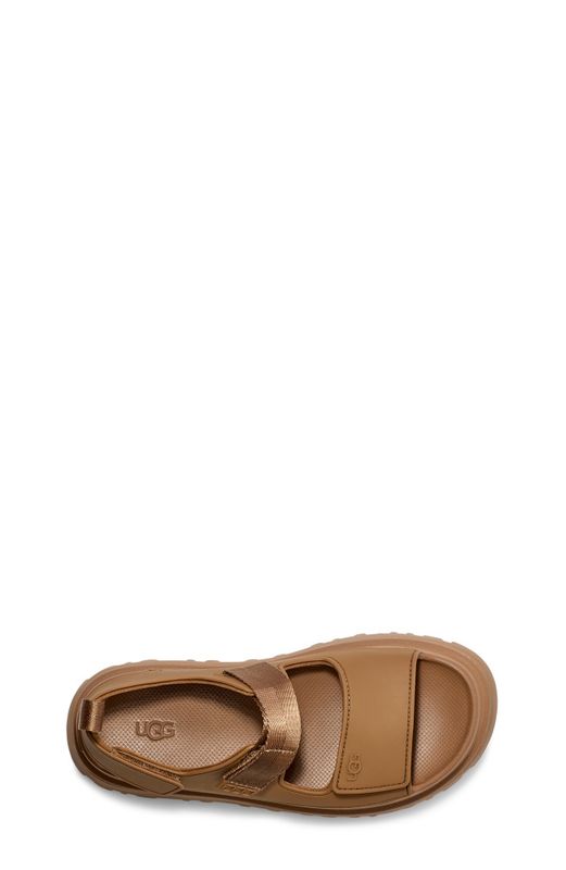 W Goldenglow Bison Brown 
