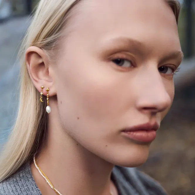Hovedbilde Lucian Earrings 
