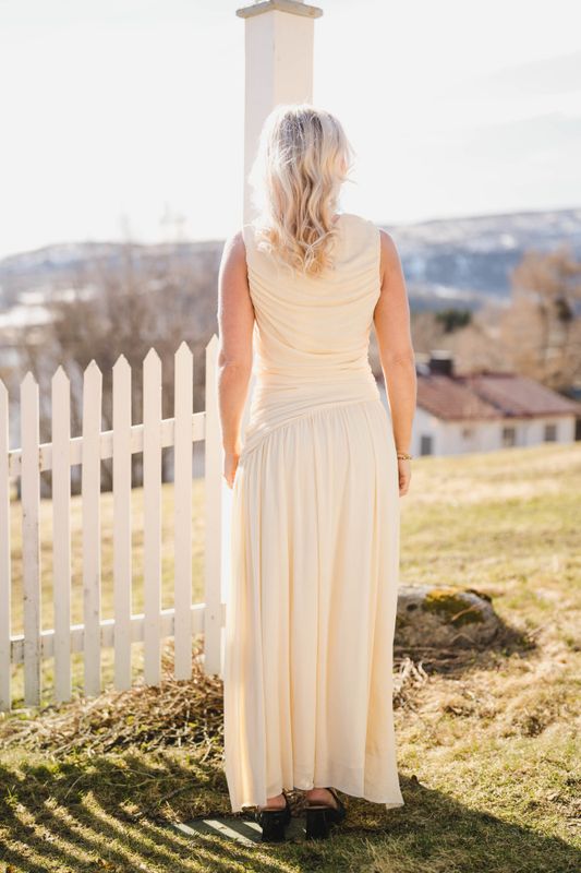 Cludine Mesh Dress Light Yellow 