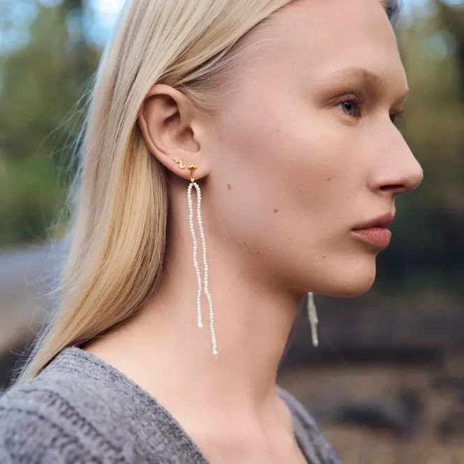 Hovedbilde Era Earrings 